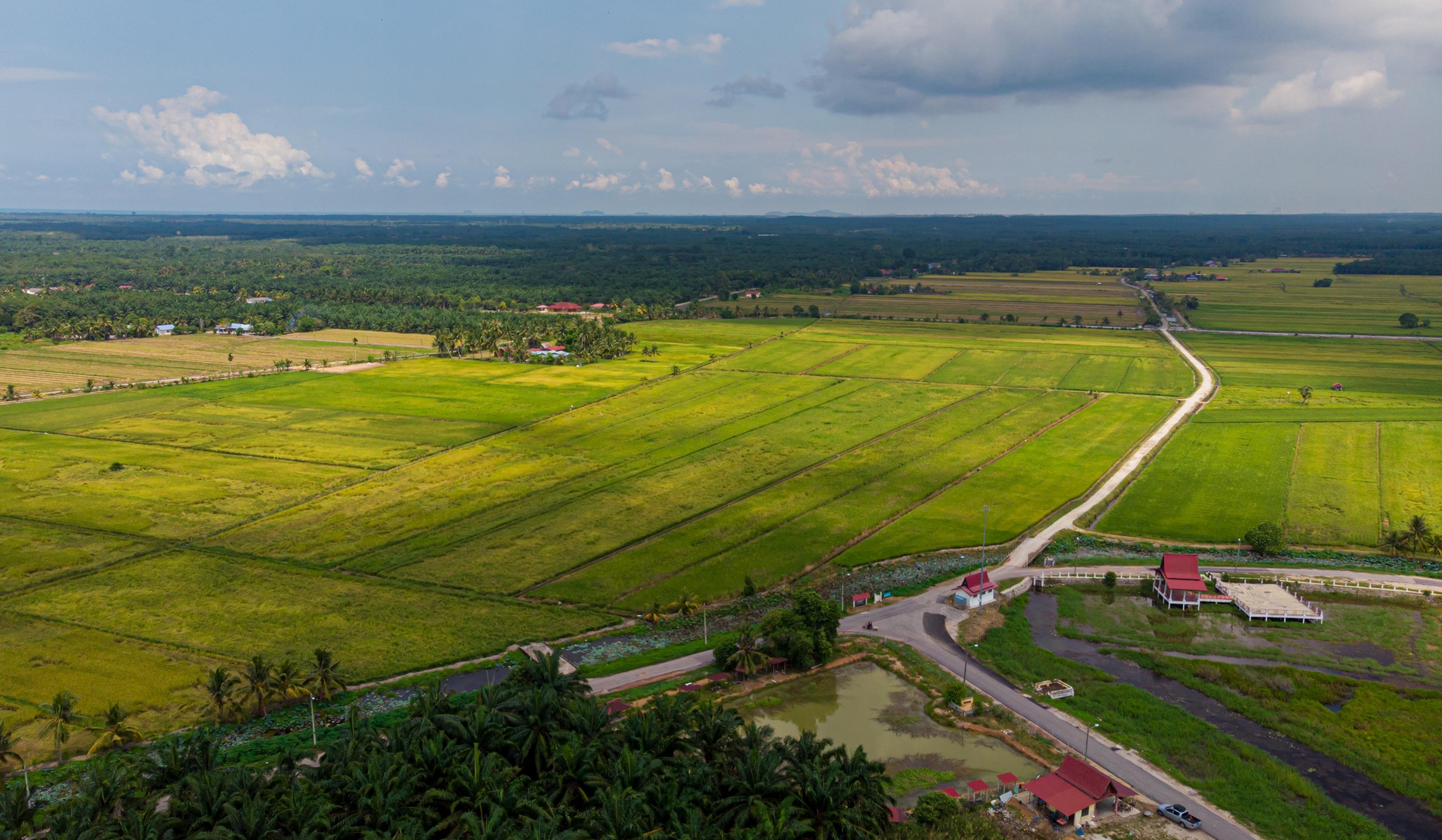 Farm Lots & Raw Lands